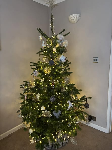 Amy’s decorated Tower Road tree
